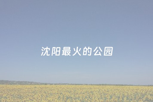 沈阳最火的公园（沈阳一日游必去的景点推荐）