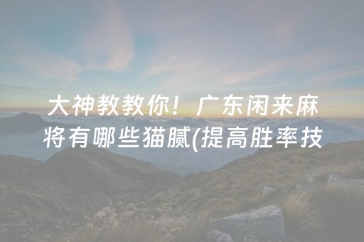 大神教教你！广东闲来麻将有哪些猫腻(提高胜率技巧)