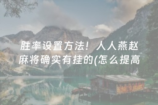 胜率设置方法！人人燕赵麻将确实有挂的(怎么提高胡牌率)