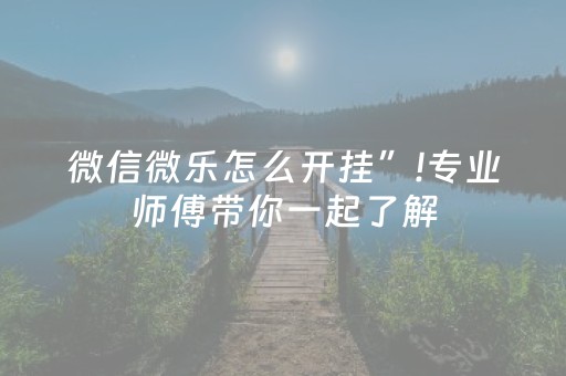 微信微乐怎么开挂”!专业师傅带你一起了解（详细教程）-抖音