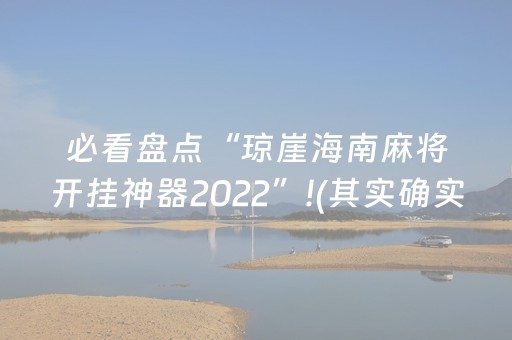 必看盘点“琼崖海南麻将开挂神器2022”!(其实确实有挂)-抖音