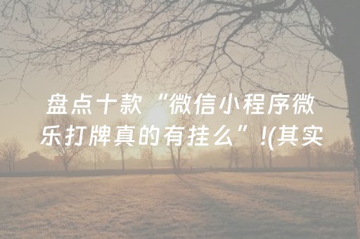 盘点十款“微信小程序微乐打牌真的有挂么”!(其实确实有挂)-抖音