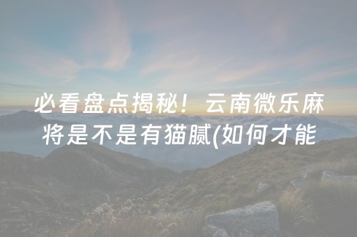 必看盘点揭秘！云南微乐麻将是不是有猫腻(如何才能赢)