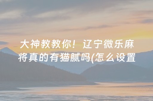 大神教教你！辽宁微乐麻将真的有猫腻吗(怎么设置会赢)