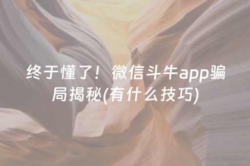 终于懂了！微信斗牛app骗局揭秘(有什么技巧)