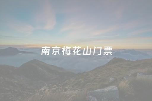 南京梅花山门票（南京梅花山门票医务人员免费吗）