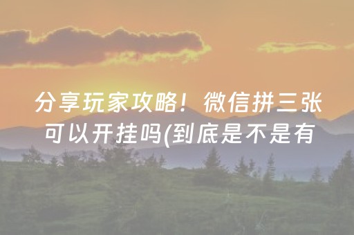 分享玩家攻略！微信拼三张可以开挂吗(到底是不是有挂)