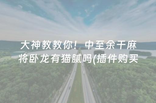 大神教教你！中至余干麻将卧龙有猫腻吗(插件购买输赢规律)