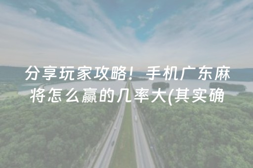 分享玩家攻略！手机广东麻将怎么赢的几率大(其实确实有挂)