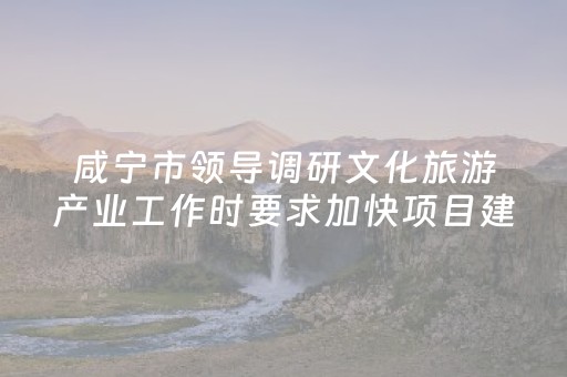 咸宁市领导调研文化旅游产业工作时要求加快项目建设 推动链态融合