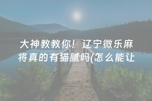 大神教教你！辽宁微乐麻将真的有猫腻吗(怎么能让胜率高)