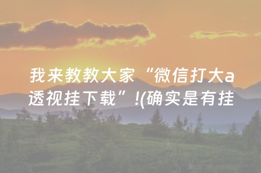 我来教教大家“微信打大a透视挂下载”!(确实是有挂)-抖音