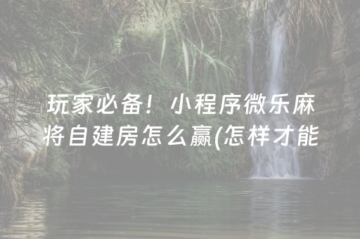 玩家必备！小程序微乐麻将自建房怎么赢(怎样才能赢)