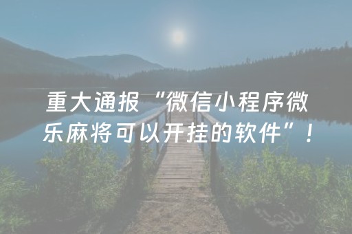 重大通报“微信小程序微乐麻将可以开挂的软件”!(确实是有挂)-抖音