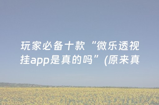 玩家必备十款“微乐透视挂app是真的吗”(原来真的有挂)-抖音