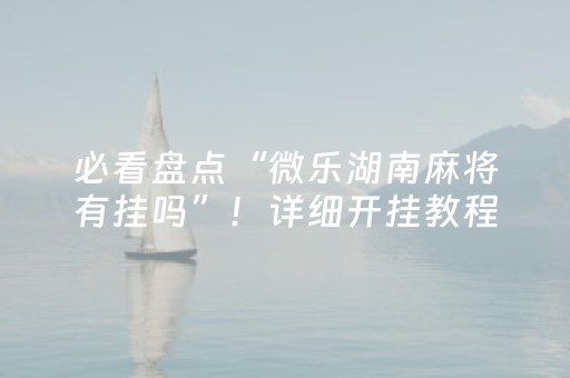 必看盘点“微乐湖南麻将有挂吗”！详细开挂教程（确实真的有挂)-抖音