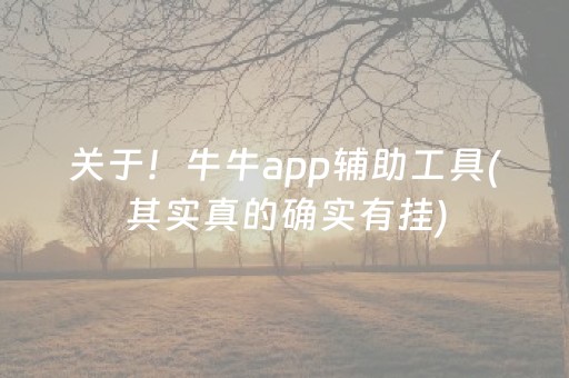 关于！牛牛app辅助工具(其实真的确实有挂)