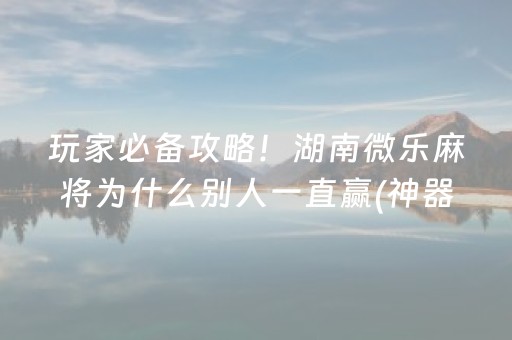 玩家必备攻略！湖南微乐麻将为什么别人一直赢(神器购买好牌规律)