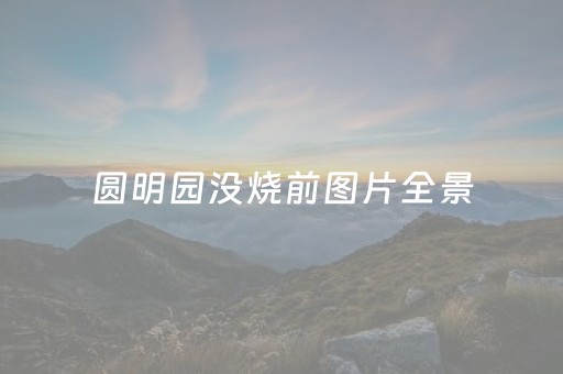 圆明园没烧前图片全景（圆明园没烧前图片全景
）