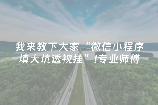 我来教下大家“微信小程序填大坑透视挂”!专业师傅带你一起了解（详细教程）-抖音