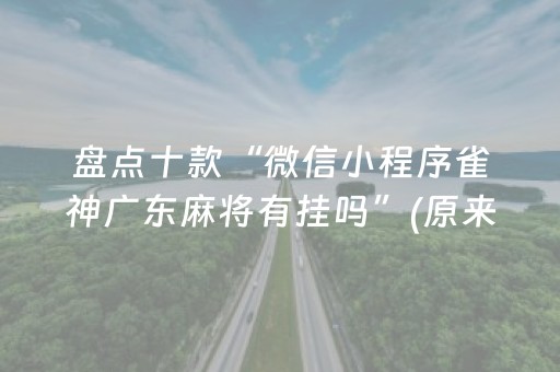 盘点十款“微信小程序雀神广东麻将有挂吗”(原来真的有挂)-抖音