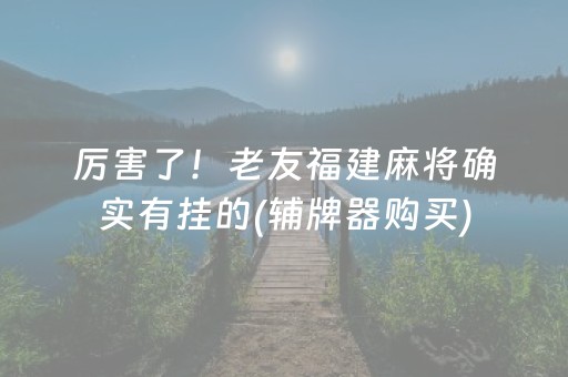 厉害了！老友福建麻将确实有挂的(辅牌器购买)