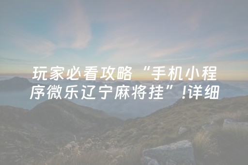 玩家必看攻略“手机小程序微乐辽宁麻将挂”!详细开挂教程-抖音