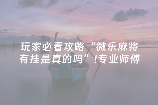 玩家必看攻略“微乐麻将有挂是真的吗”!专业师傅带你一起了解（详细教程）-抖音