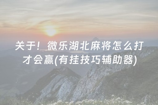 关于！微乐湖北麻将怎么打才会赢(有挂技巧辅助器)