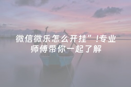 微信微乐怎么开挂”!专业师傅带你一起了解（详细教程）-抖音