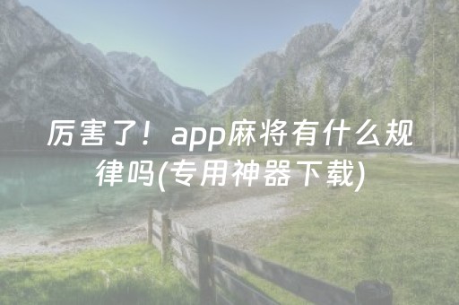 厉害了！app麻将有什么规律吗(专用神器下载)