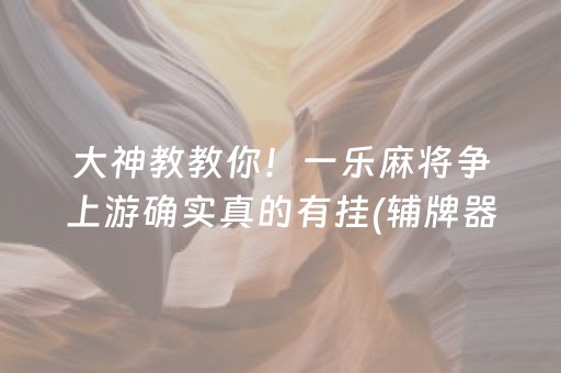 大神教教你！一乐麻将争上游确实真的有挂(辅牌器购买)