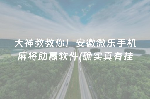 大神教教你！安徽微乐手机麻将助赢软件(确实真有挂)