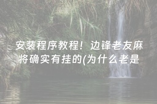 安装程序教程！边锋老友麻将确实有挂的(为什么老是输)