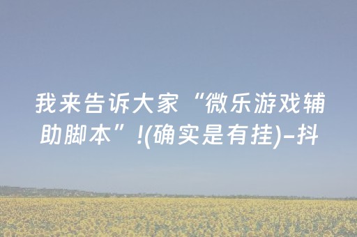 我来告诉大家“微乐游戏辅助脚本”!(确实是有挂)-抖音