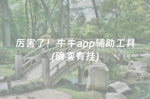 厉害了！牛牛app辅助工具(确实有挂)