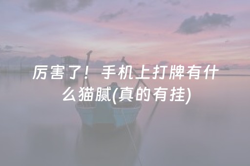 厉害了！手机上打牌有什么猫腻(真的有挂)