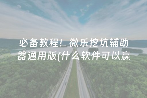 必备教程！微乐挖坑辅助器通用版(什么软件可以赢)