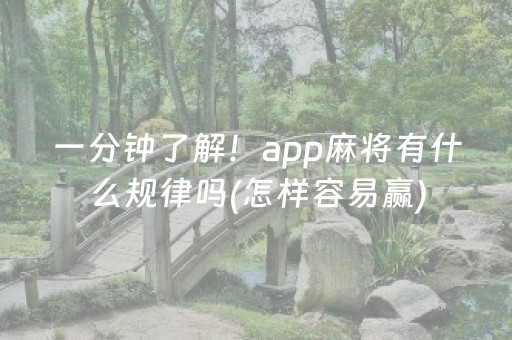 一分钟了解！app麻将有什么规律吗(怎样容易赢)