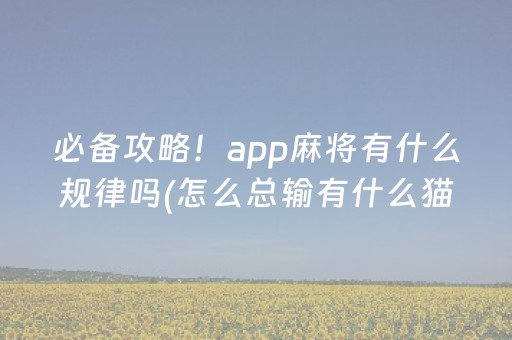 必备攻略！app麻将有什么规律吗(怎么总输有什么猫腻)