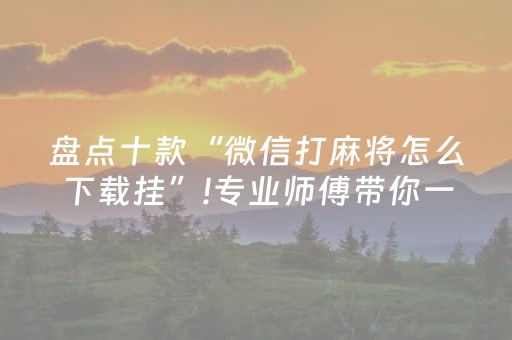 盘点十款“微信打麻将怎么下载挂”!专业师傅带你一起了解（详细教程）-抖音