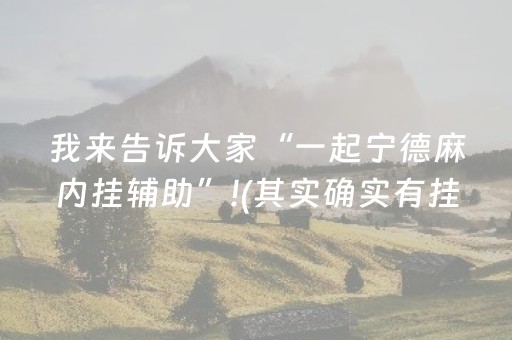 我来告诉大家“一起宁德麻内挂辅助”!(其实确实有挂)-抖音