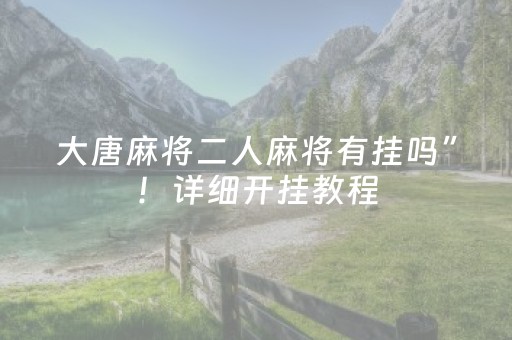 大唐麻将二人麻将有挂吗”！详细开挂教程（确实真的有挂)-抖音