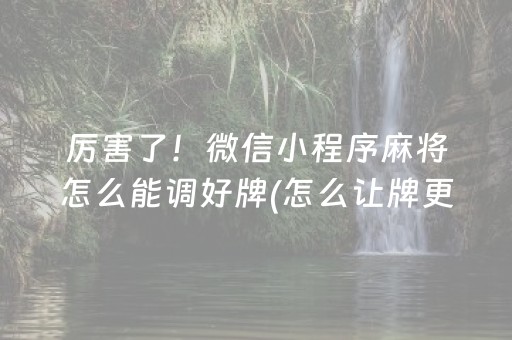 厉害了！微信小程序麻将怎么能调好牌(怎么让牌更好)