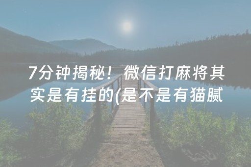 7分钟揭秘！微信打麻将其实是有挂的(是不是有猫腻)