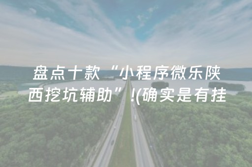 盘点十款“小程序微乐陕西挖坑辅助”!(确实是有挂)-抖音