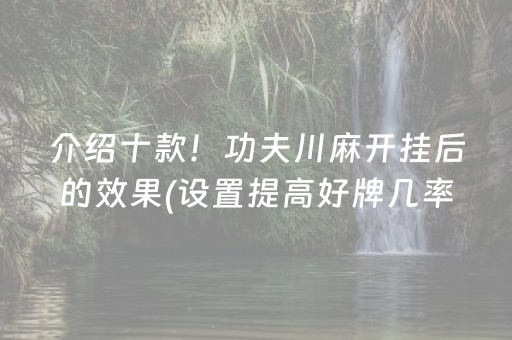 介绍十款！功夫川麻开挂后的效果(设置提高好牌几率)