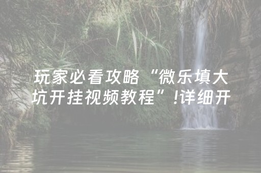 玩家必看攻略“微乐填大坑开挂视频教程”!详细开挂教程-抖音