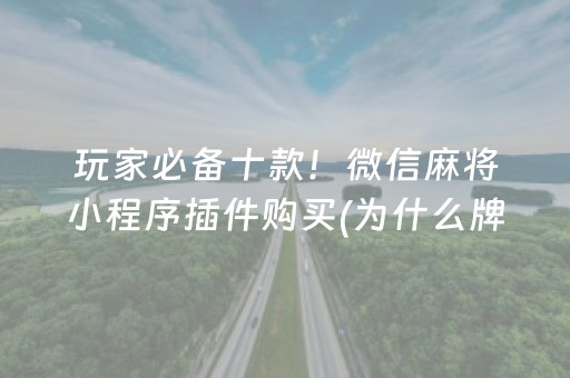 玩家必备十款！微信麻将小程序插件购买(为什么牌一直很差)