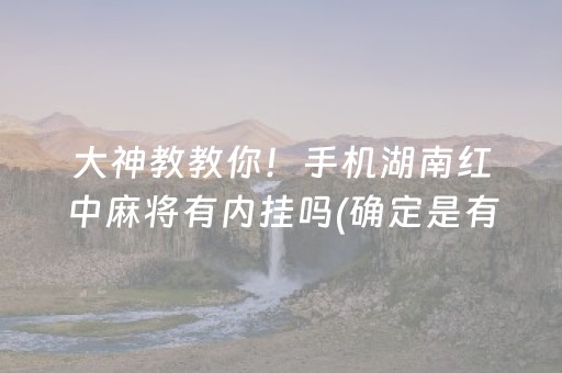 大神教教你！手机湖南红中麻将有内挂吗(确定是有挂)